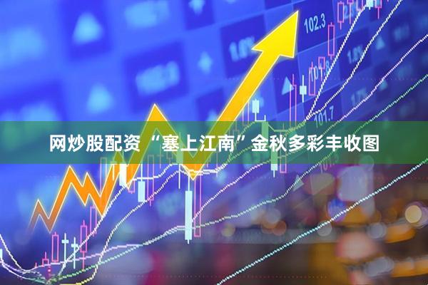 网炒股配资 “塞上江南”金秋多彩丰收图